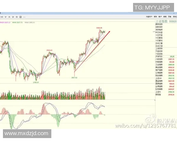 南京网球队防守策略深度解析与战术应用探讨
