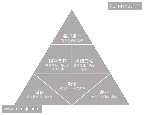 广州篮球队在大师赛中的团队协作表现分析与启示